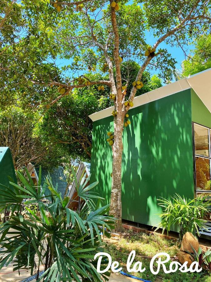 Homestay De La Rosa - Con Dao Chi Khu Co Ong Exterior foto